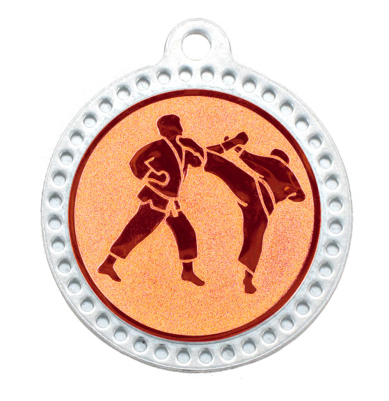 M320 KARATE BRONZE.jpg